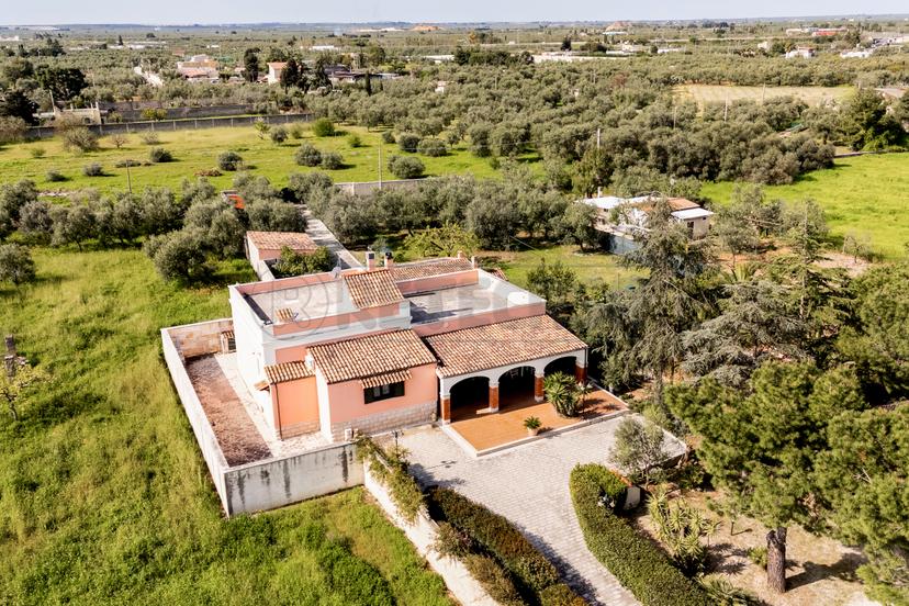 Villa in Via Crosta 9, Bisceglie — foto 4 di 5