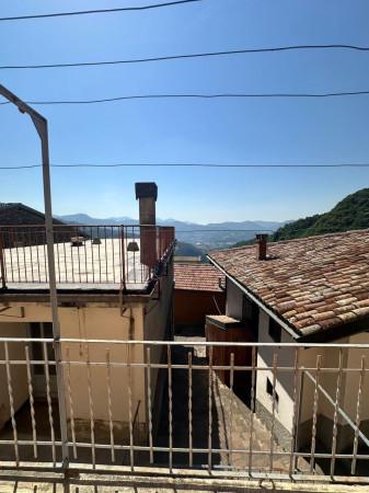 Bilocale, Colzate