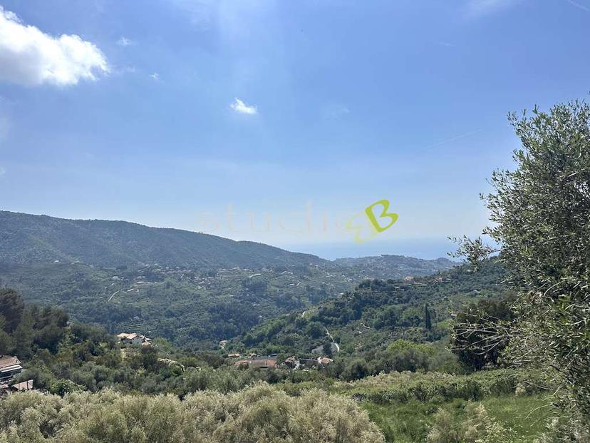 Villa unifamiliare, Vallebona — foto 2 di 5