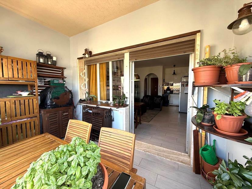 Quadrilocale, Rosignano Marittimo — foto 5 di 5