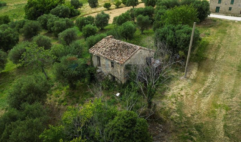 Rustico, Cingoli — foto 2 di 5