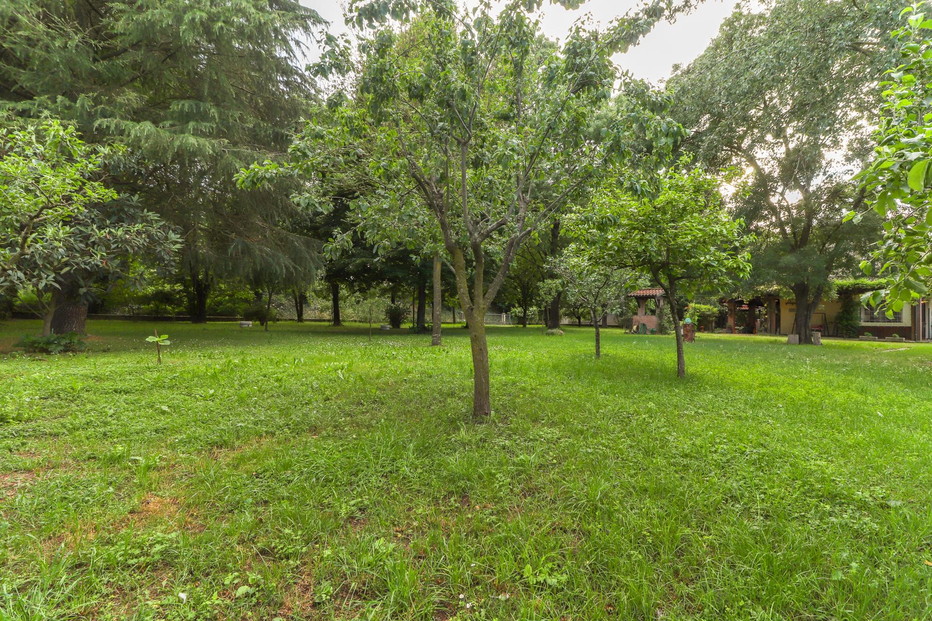 Villa unifamiliare in Via Argine Diversivo 79, Bondeno