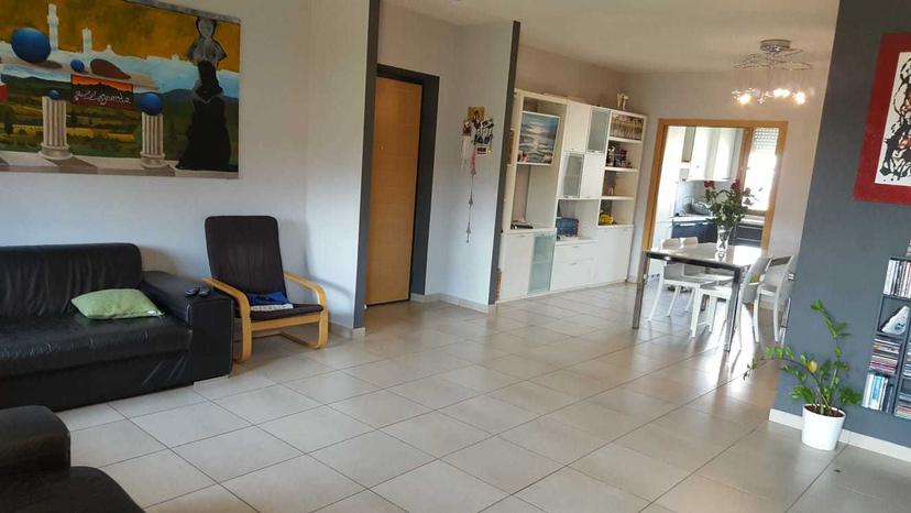 Appartamento in Provinciale Sud 2, Rapolano Terme — foto 4 di 5
