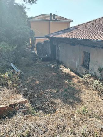 Casa colonica in Località Tranci 30, Calice al Cornoviglio — foto 5 di 5