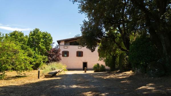 Casale, Viterbo