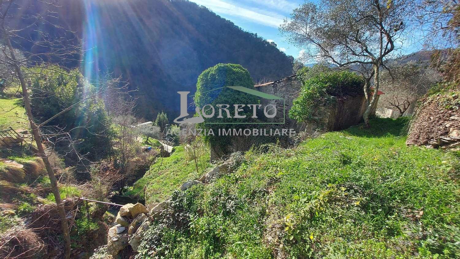 Rustico, Rapallo