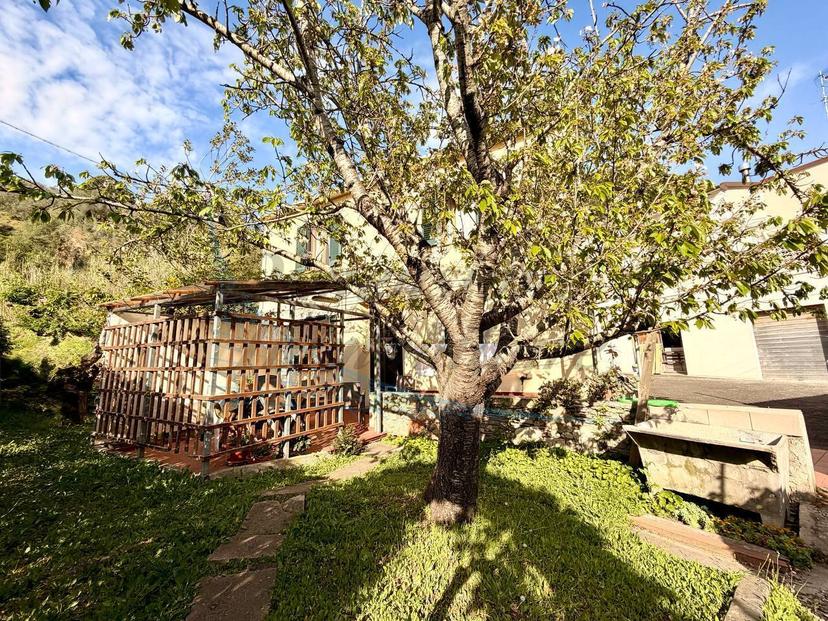 Casa indipendente in Piazza Giosuè Carducci, Rosignano Marittimo — foto 5 di 5