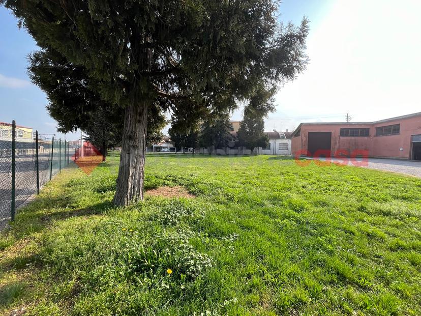 Casa indipendente, Isola della Scala — foto 3 di 5