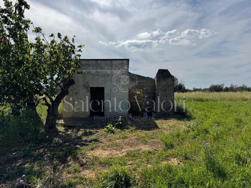 Casa indipendente in Strada Provinciale 262, Matino — foto 3 di 5