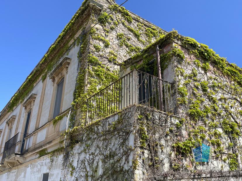Appartamento in Via Madonna delle Vigne 4, San Cesario di Lecce — foto 4 di 5