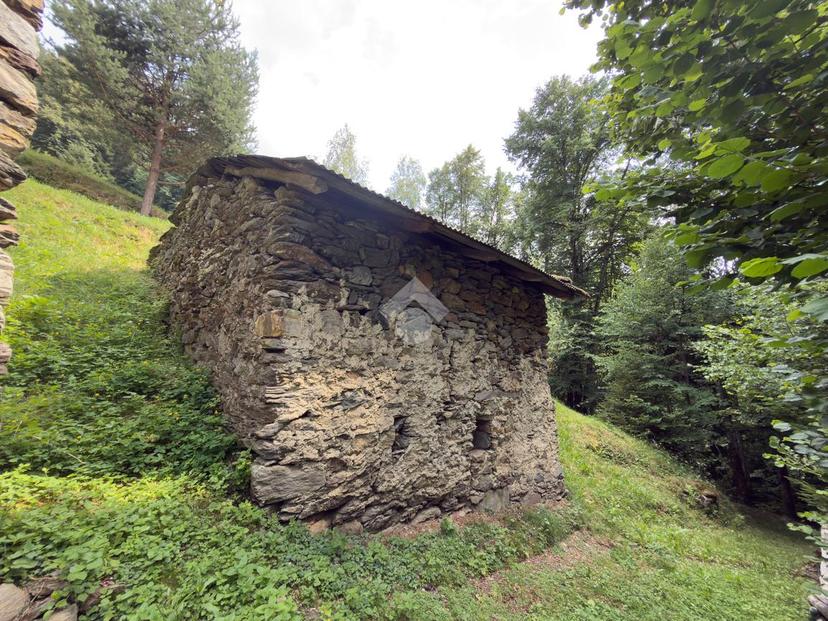Rustico in Strada del Mortirolo, Mazzo di Valtellina — foto 5 di 5
