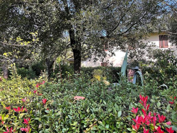 Rustico in Via San Gregorio, Fucecchio — foto 5 di 5