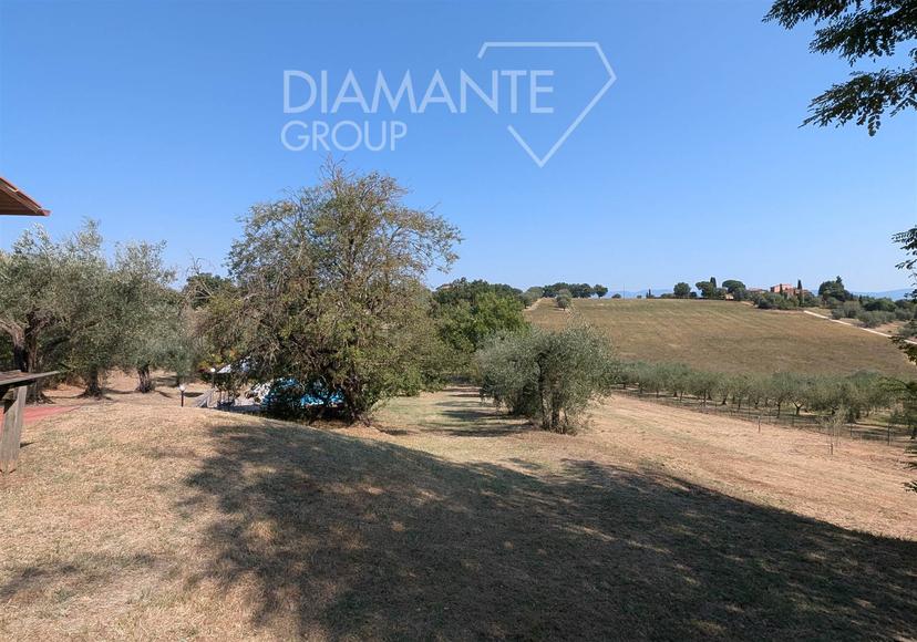 Bilocale, Castiglione del Lago — foto 2 di 5