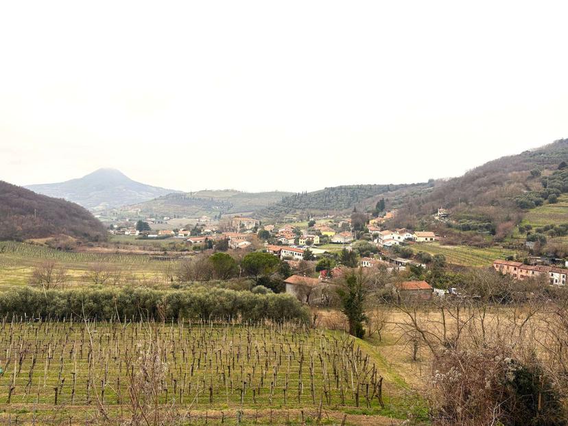 Rustico, Cinto Euganeo — foto 3 di 5
