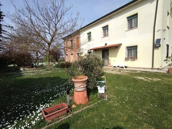 Casa colonica in Via Gradizza 3, Conselice — foto 4 di 5