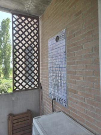 Bilocale, Reggio nell'Emilia
