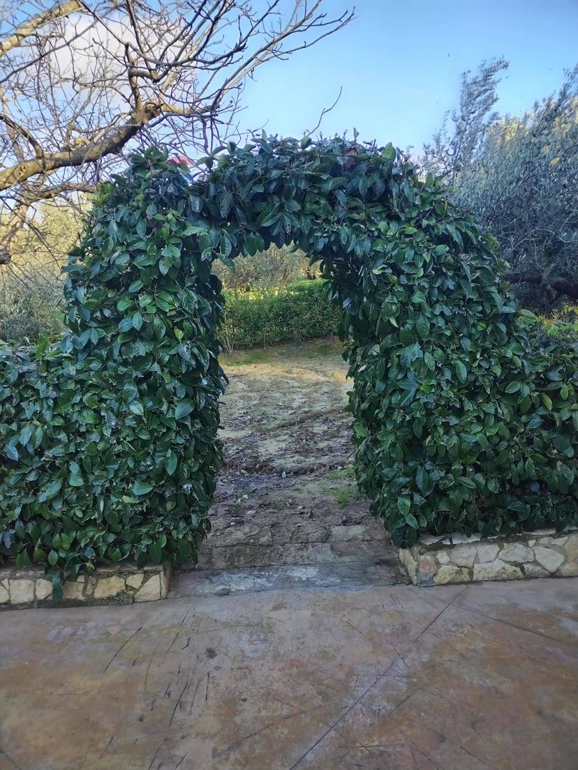 Villa in Contrada Fratulla Snc, Piazza Armerina — foto 5 di 5
