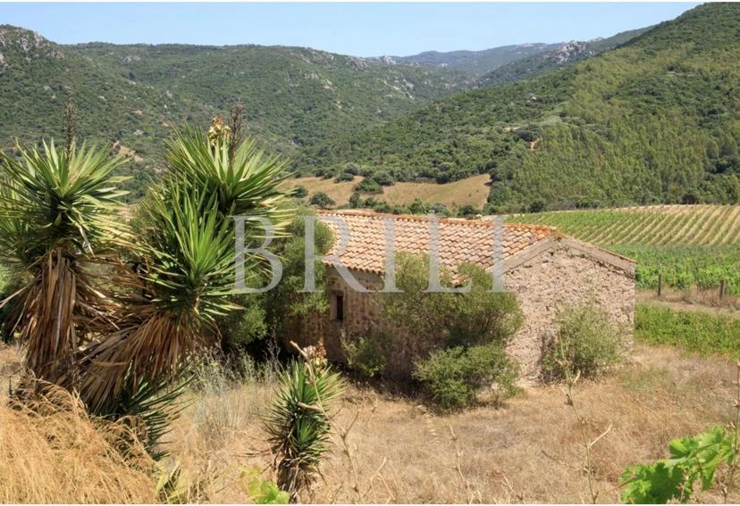 Casa indipendente, Trinità d'Agultu e Vignola — foto 5 di 5