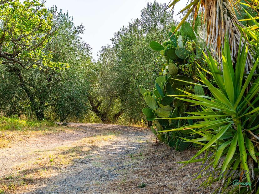Rustico in Località Vecchia  Snc, Massa Marittima — foto 5 di 5