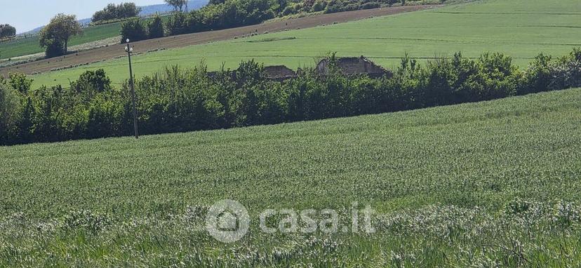Rustico, Marsciano