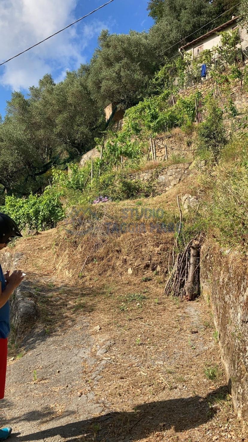 Rustico in Regione Ortai, Badalucco — foto 5 di 5