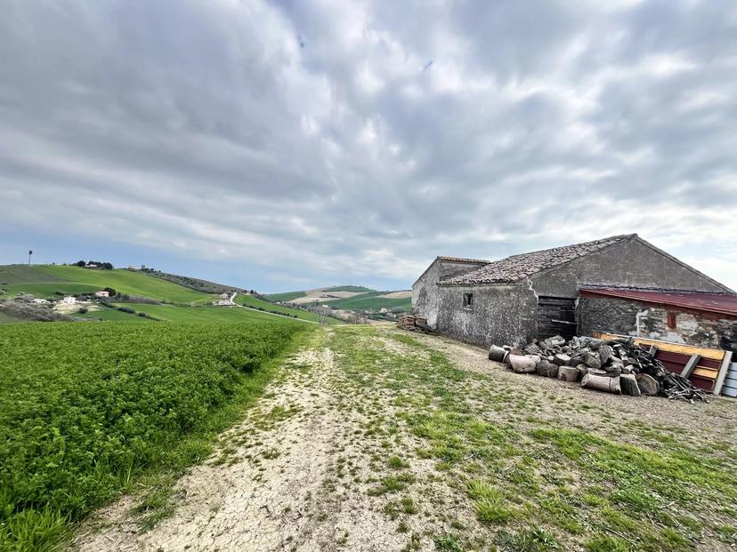 Cascina, Fermo — foto 4 di 5