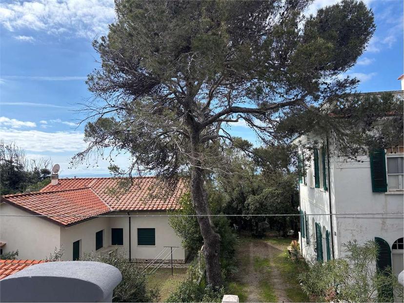 Porzione di casa, Rosignano Marittimo — foto 3 di 5