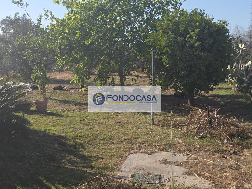 Casa indipendente in Contrada Termolito, Vernole — foto 3 di 5