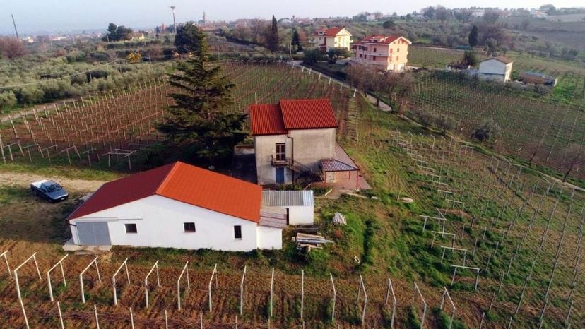 Villa in Strada Ponticello, Casalbordino — foto 5 di 5