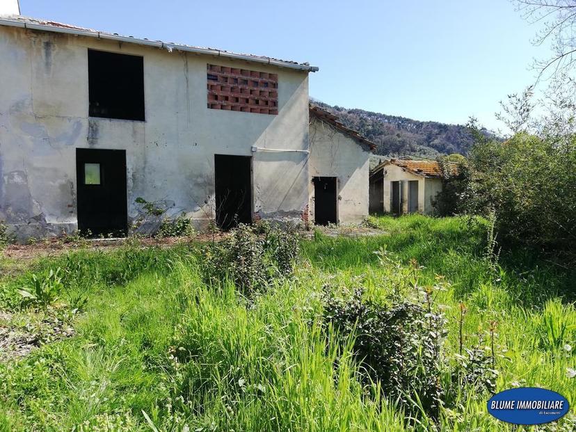 Rustico, Massarosa — foto 5 di 5