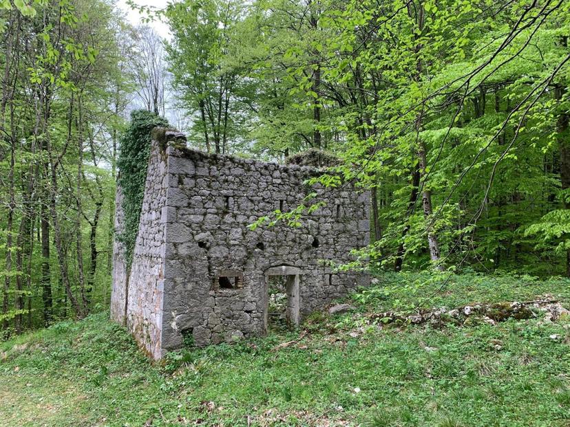 Rustico, Clauzetto — foto 4 di 5