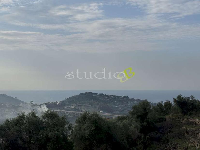 Rustico in Via San Sebastiano Snc, Vallebona — foto 4 di 5