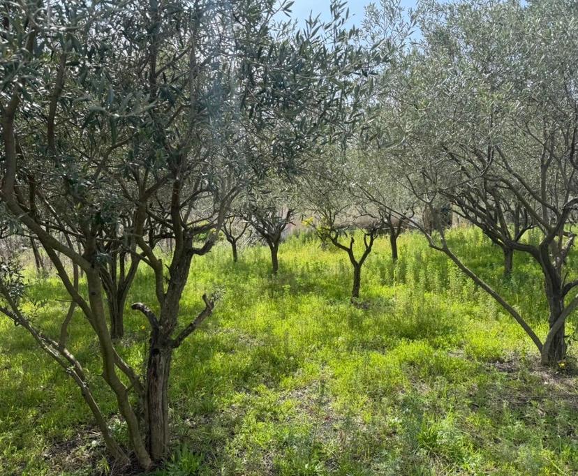 Appartamento in villa in Via Tirone della Guardia Snc, Trecase — foto 5 di 5