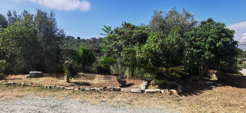 Villa in Contrada Prato Inferiore 23, Palmi — foto 3 di 5