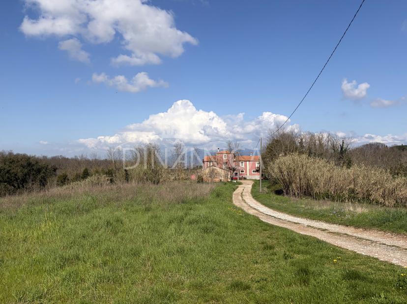 Casa colonica, Fauglia — foto 3 di 5