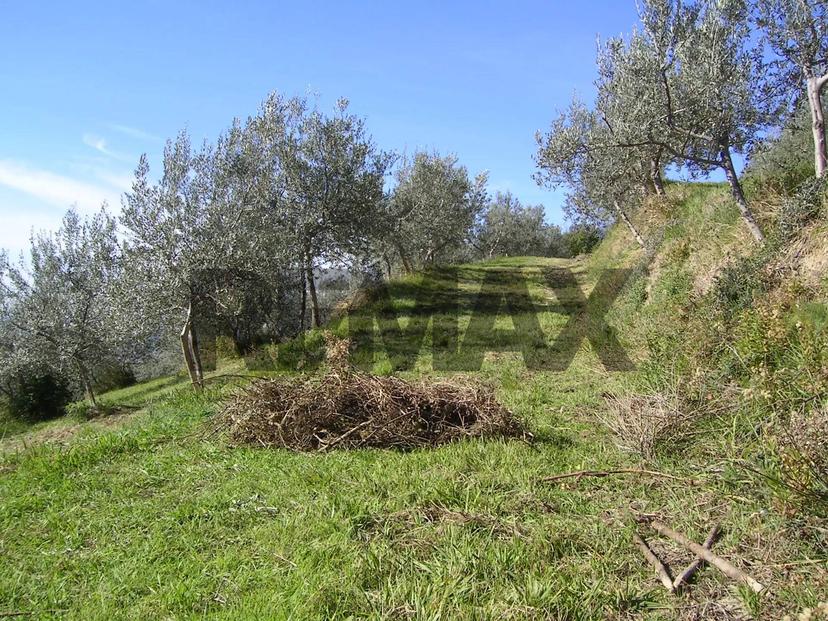 Rustico, Assisi — foto 3 di 5