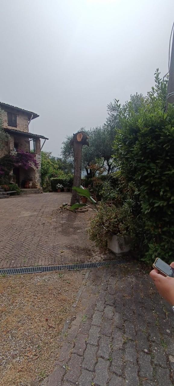 Rustico, Camaiore — foto 5 di 5