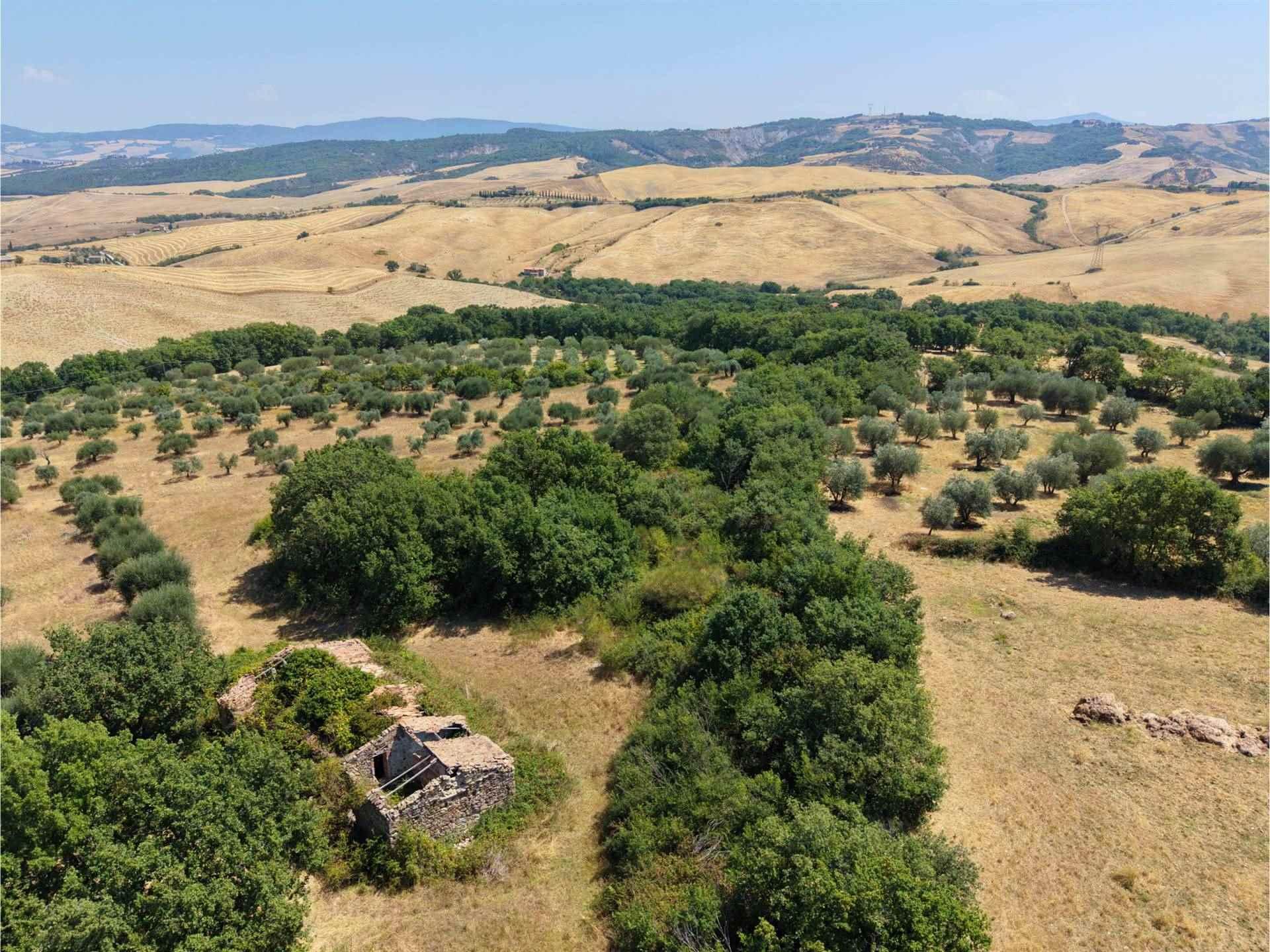 Rustico in Case Sparse Madonna, Castiglione d'Orcia