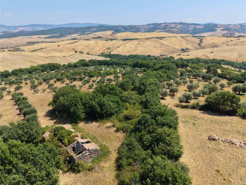 Rustico in Case Sparse Madonna, Castiglione d'Orcia