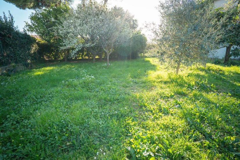 Casale in Castagnola di Sotto, Massa — foto 2 di 5