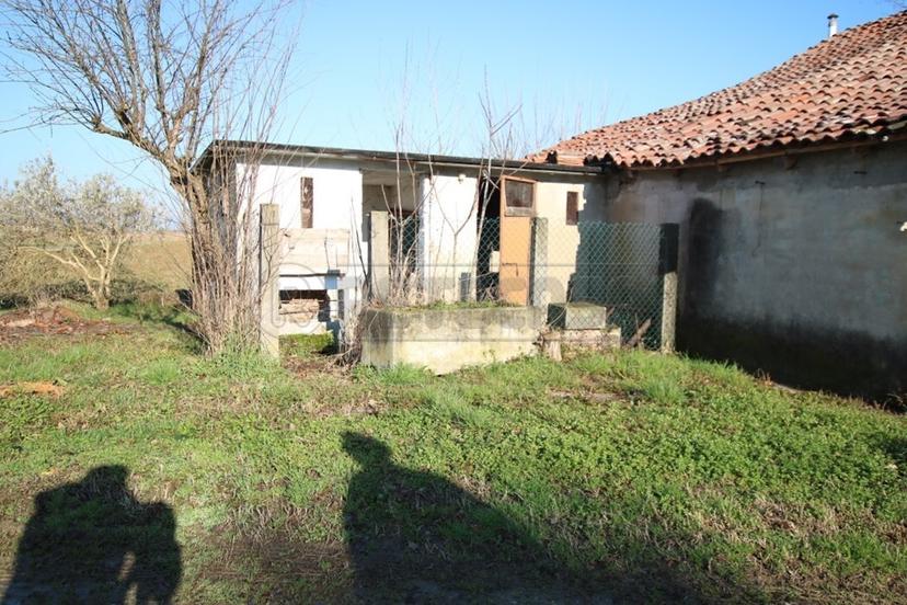 Rustico, Montegalda — foto 4 di 5