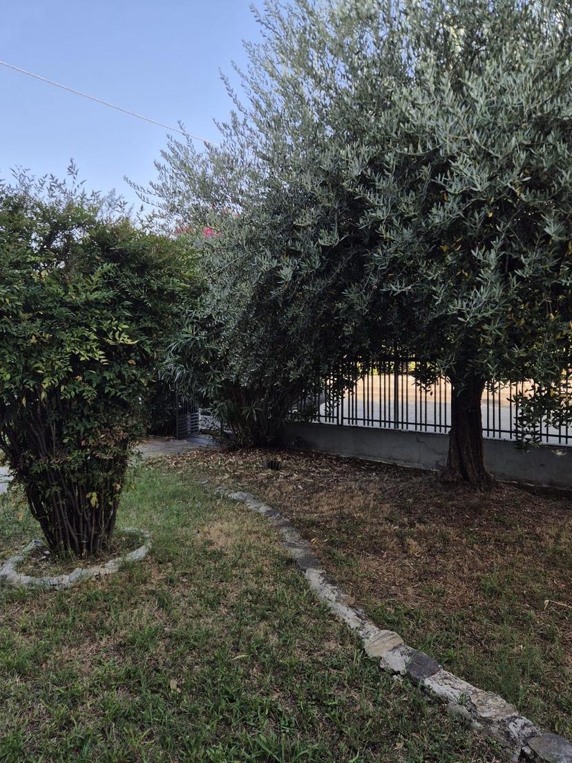 Appartamento, Santa Croce sull'Arno — foto 2 di 5