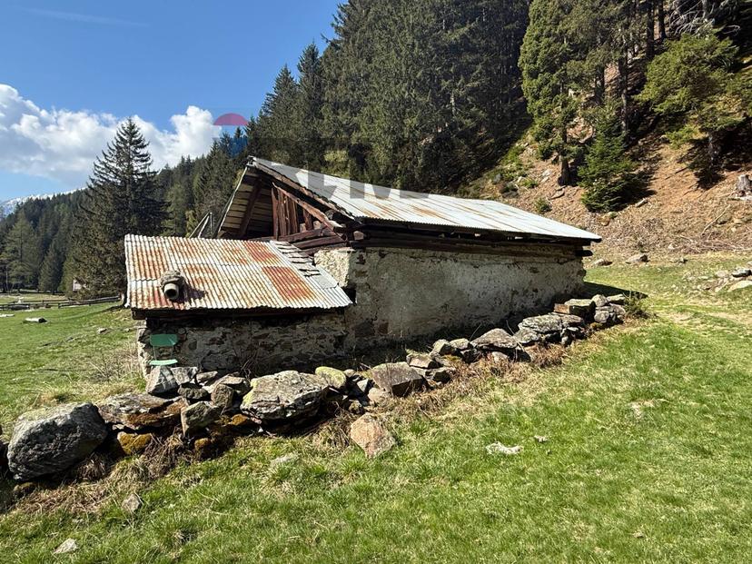 Rustico, Peio — foto 3 di 5