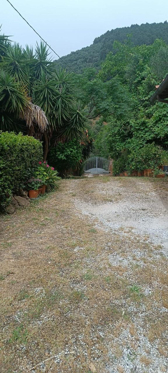 Rustico, Camaiore
