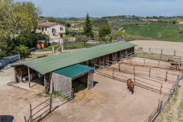Villa in Frazione Santa Croce, Spoleto — foto 4 di 5