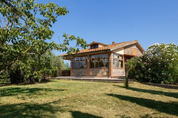 Villa, Massa Marittima — foto 3 di 5