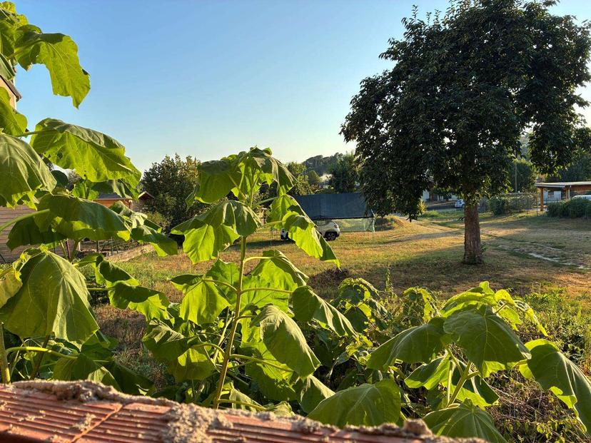 Rustico, Colle Umberto — foto 2 di 5