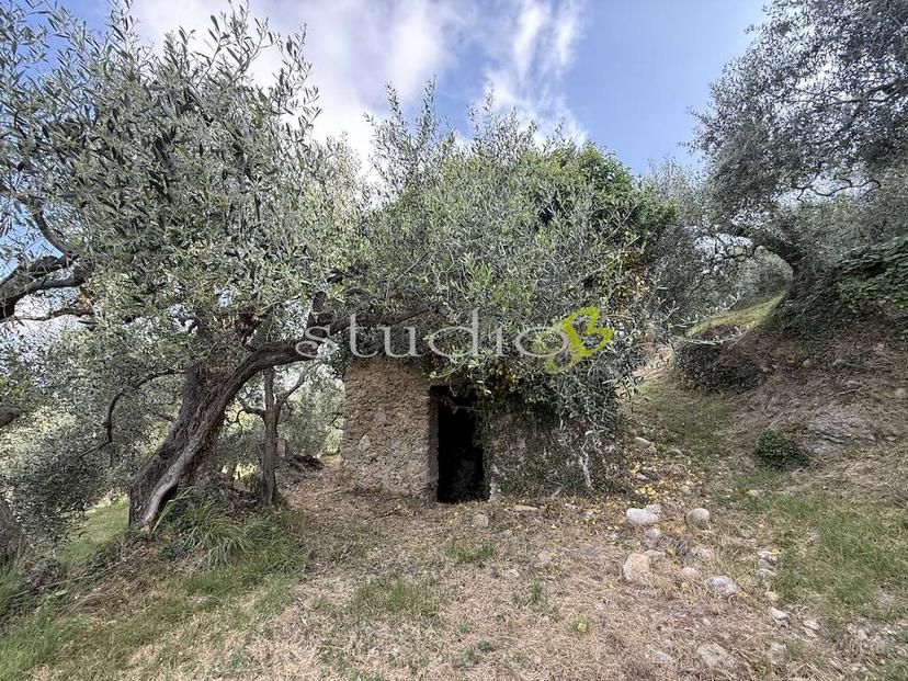 Rustico, San Biagio della Cima — foto 3 di 5