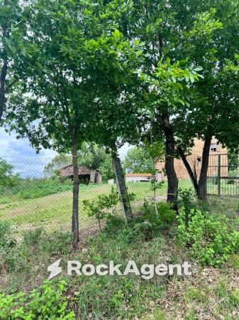 Casa colonica in Contrada Fontevecchia 1, Mondavio — foto 4 di 5