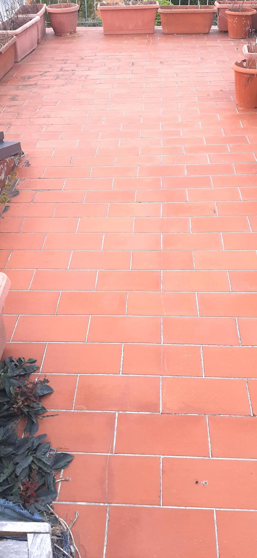 Quadrilocale, Rosignano Marittimo — foto 5 di 5